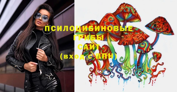 2c-b Армянск