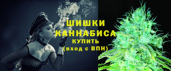 соль ск Арсеньев