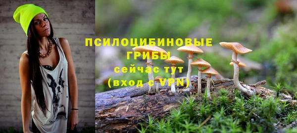 соль ск Арсеньев